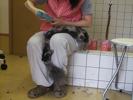 またもやカットに逆戻り