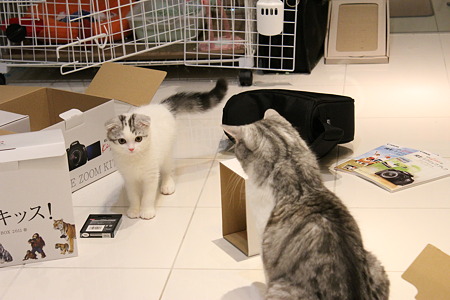クルー&テンダー