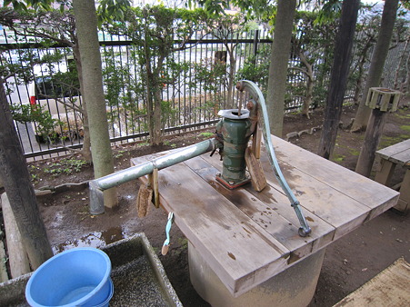 井戸