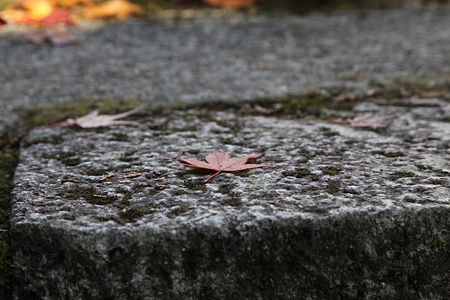 洞光寺 - 002