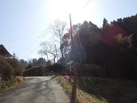 DSCN0210