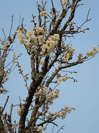 DSCN0891