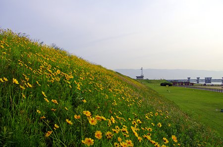 IMGP0867