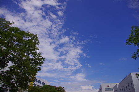 IMGP2808