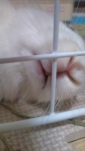 くらえゆかもんす 写真共有サイト フォト蔵