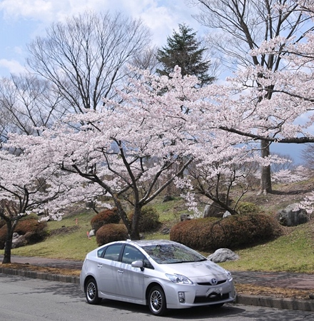 富士桜霊園のぷりちゃん1