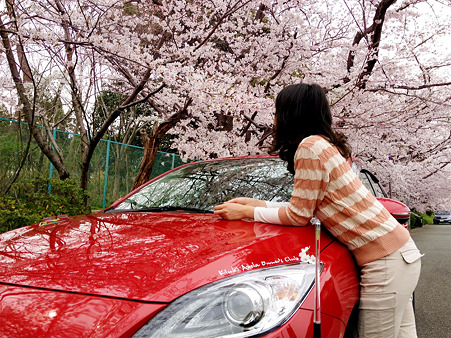 桜４