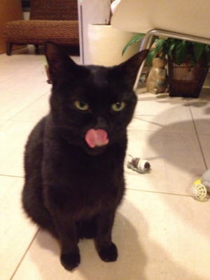 美味しいにゃ