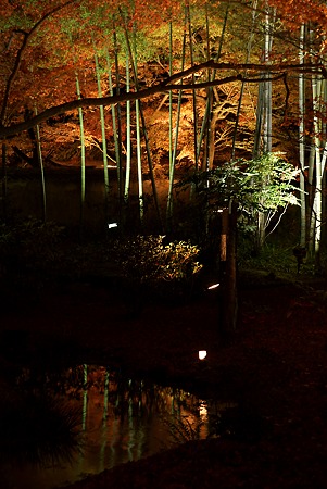 宝厳院・水鏡