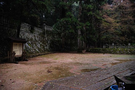 1104271535_DSC_0228