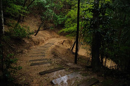 1104271622_DSC_0398