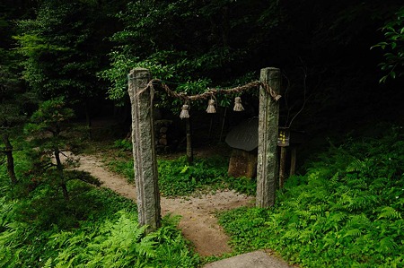 1106220641_DSC_0689
