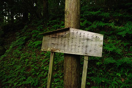 1106220644_DSC_0699