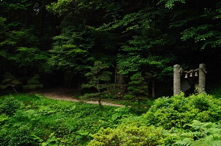 1106220645_DSC_0712