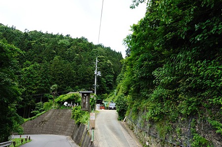 1106231127_DSC_2158