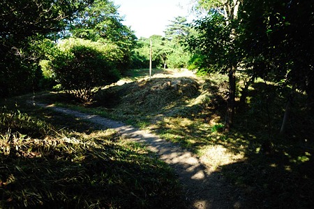 1107120732_DSC_5432
