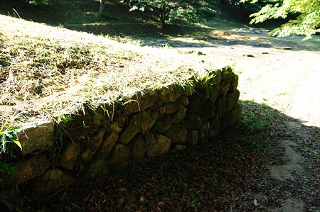 1107120735_DSC_5452