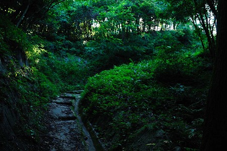 1107120756_DSC_5530