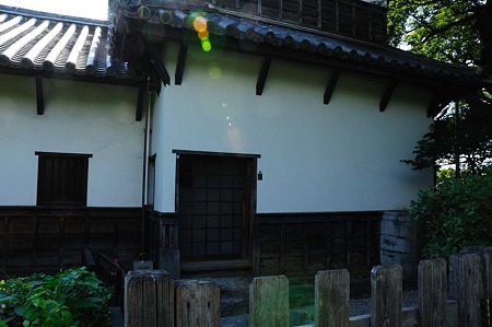 1107121552_DSC_5725