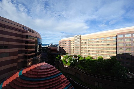 1107130712_DSC_3381