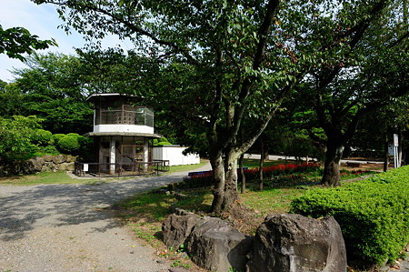 1108140833_DSC_5079