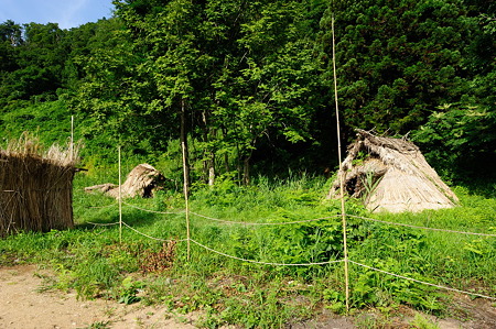 1108141545_DSC_6219