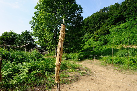 1108141546_DSC_6223