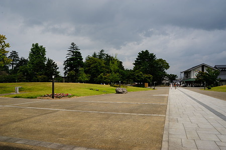 1108171036_DSC_8179