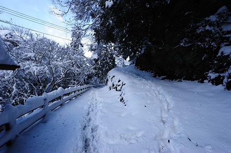 1101011152_DSC_6133