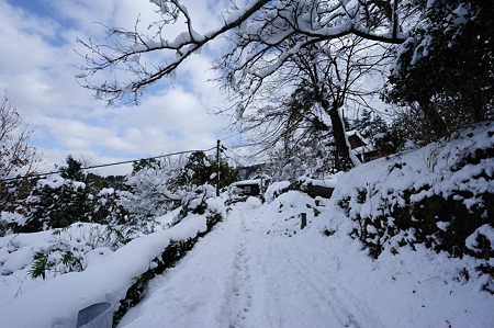 1101011347_DSC_6470
