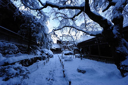 1101011432_DSC_6564
