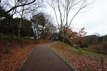 1101020908_DSC_6845