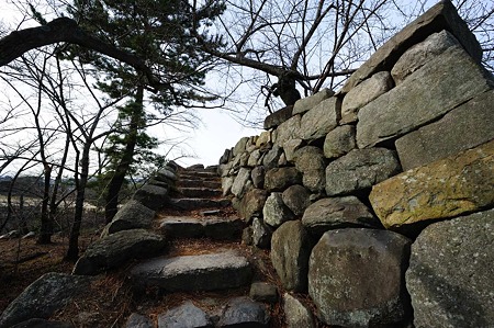 1101031230_DSC_7955