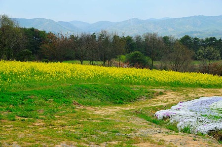 1104271013_DSC_9912