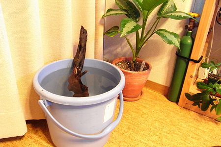 アク抜き