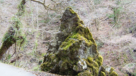 DSCF4664