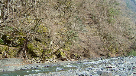 DSCF4705