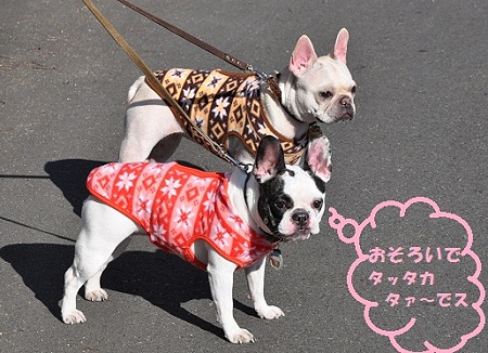 お揃いでっ