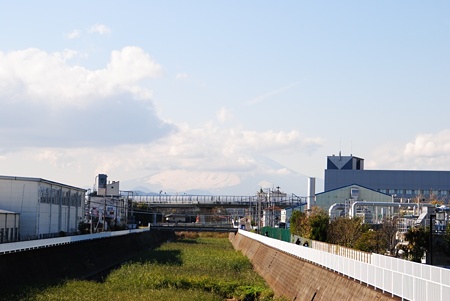 nankonohidarihuji05
