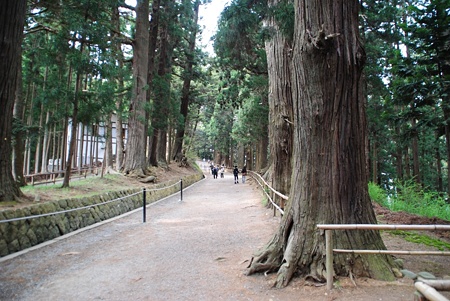 tyuusonji2