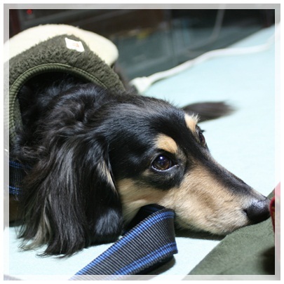 20120212 MARO(kissX)2