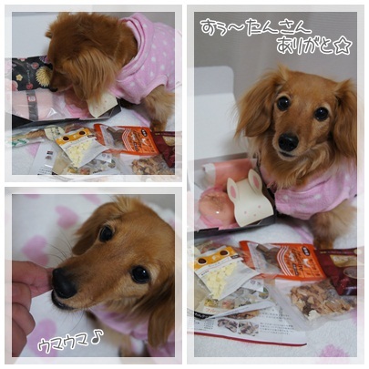 20120302 すぅ~たんさん、ありがと☆
