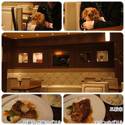 20120408 PETRA