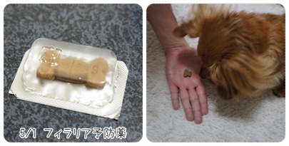 20120501 フィラリア予防薬