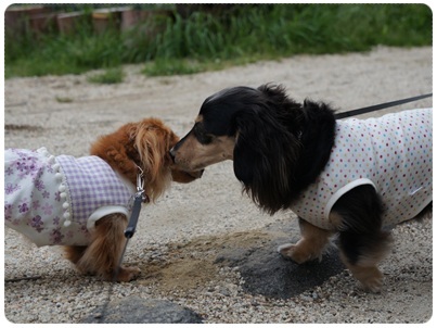 20120429 JURI & MARO