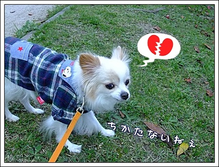 仕方ない