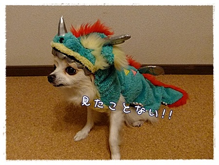 無い