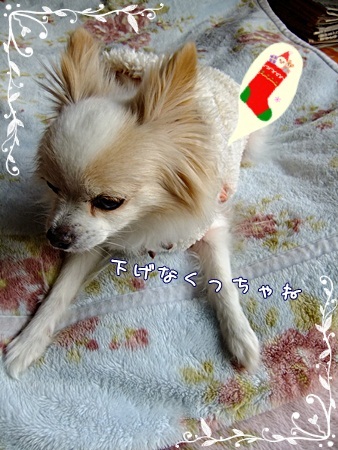 靴下