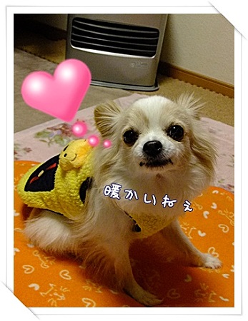 暖かい
