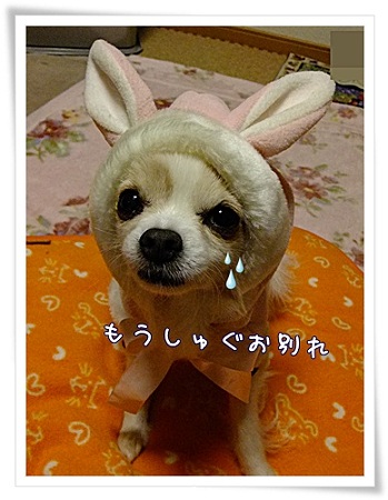 さよなら